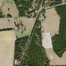 Juniper Florida High Resolution Satellite Map