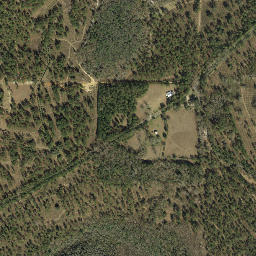 Peck Florida High Resolution Satellite Map