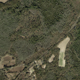 Dennet Florida High Resolution Satellite Map