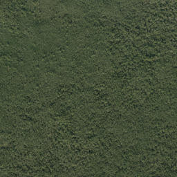 Needmore Florida High Resolution Satellite Map