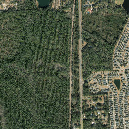 Tisonia Florida High Resolution Satellite Map