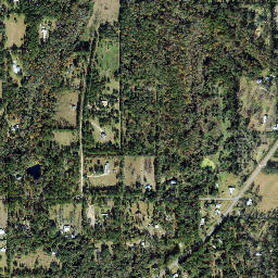 Lois Florida High Resolution Satellite Map