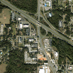 Pine Forest Florida High Resolution Satellite Map