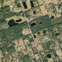 Black Hammock Florida High Resolution Satellite Map
