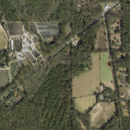 Baum Florida High Resolution Satellite Map