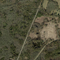 Spray Florida High Resolution Satellite Map