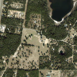 Greenhead Florida High Resolution Satellite Map