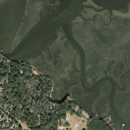 Shady Rest Florida High Resolution Satellite Map