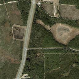 Red Head Florida High Resolution Satellite Map