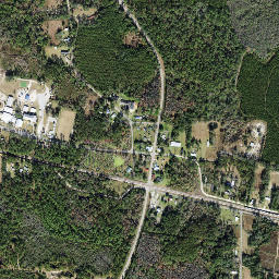 Aucilla Florida High Resolution Satellite Map