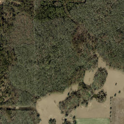 Reams Florida High Resolution Satellite Map