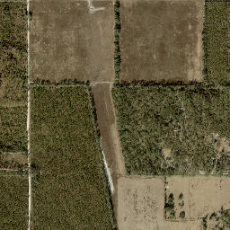 Blue Springs Florida High Resolution Satellite Map