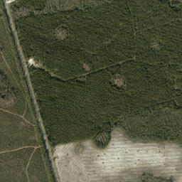 Benton Florida High Resolution Satellite Map