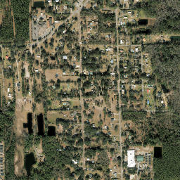 Dunn Creek Florida High Resolution Satellite Map
