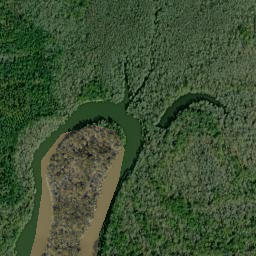 Miller Bend Florida High Resolution Satellite Map