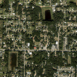 Bellview map(satellite map)