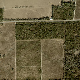 Adams Florida High Resolution Satellite Map