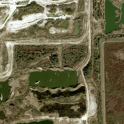 Blacks Still Florida High Resolution Satellite Map