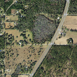 Nash Florida High Resolution Satellite Map