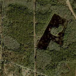 Marion Florida High Resolution Satellite Map