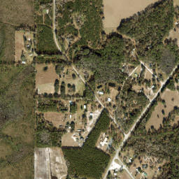 Taylor Florida High Resolution Satellite Map