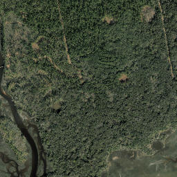 Cedar Point Florida High Resolution Satellite Map