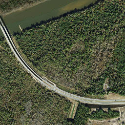 Florida 20, Bristol, FL 32321, USA High Resolution Satellite Map