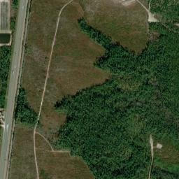 Saunders Florida High Resolution Satellite Map