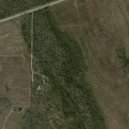 17306 Florida 20 Blountstown FL 32424 High Resolution Satellite Map