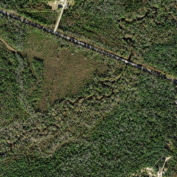 Highway 20, Bristol, FL 32321, USA High Resolution Satellite Map