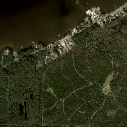 Millview Florida High Resolution Satellite Map