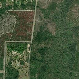 Econfina Florida High Resolution Satellite Map