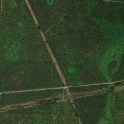 Saint Tammany Parish map(satellite map)