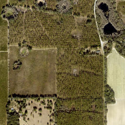 Fort Union Florida High Resolution Satellite Map