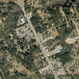 Dinsmore Florida High Resolution Satellite Map