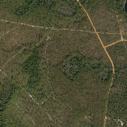 Andrew Florida High Resolution Satellite Map