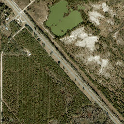 Genoa Florida High Resolution Satellite Map