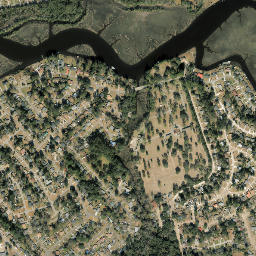 Ribault Manor Florida High Resolution Satellite Map