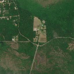 Bunker Florida High Resolution Satellite Map