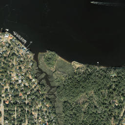 Fort Caroline Florida High Resolution Satellite Map