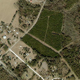 Facil Florida High Resolution Satellite Map