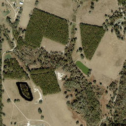 Long Branch Florida High Resolution Satellite Map