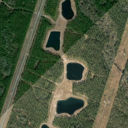 Tulane Florida High Resolution Satellite Map