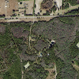 Cody Florida High Resolution Satellite Map