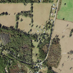 Thomas City Florida High Resolution Satellite Map