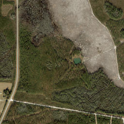 Kenny Florida High Resolution Satellite Map