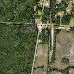 Telogia Florida High Resolution Satellite Map