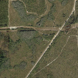 Rose Florida High Resolution Satellite Map