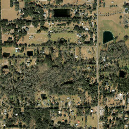 Cambon Florida High Resolution Satellite Map