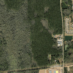 Langmar Florida High Resolution Satellite Map